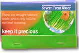 Severn Trent Water drought resistant plant seeds